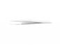 Preview: The image shows a narrow, shiny stainless steel tweezer. It has a pointed shape with two long, parallel edges that meet at one end. The background is white.