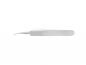 Preview: The image displays a slender, metallic tweezer with a slightly curved tip. The handle is flat and without any distinctive patterns, on a white background.
