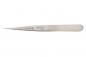 Preview: The image shows a slim, tapered tool tip made of stainless steel. The handle is flat and wide, while the tip is very narrow and sharp. There is an engraving visible at the top.