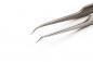 Preview: The image shows a sharp, metallic tweezer. The two arms are slightly curved and converge into two narrow tips suitable for gripping.