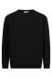 Preview: The image shows a simple, black sweatshirt with long sleeves and a round neckline. There is a small, striking logo or design in a light color on the left sleeve.