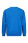 Preview: The image shows a blue sweater with long sleeves. The fabric has fine, horizontal stripes. The collar is round and the hem is even. The sweater has a loose fit.