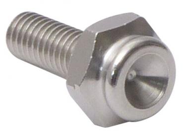 The image shows a silver screw with a slightly flat head and a threaded, longer shaft. The head has a round indentation in the center.