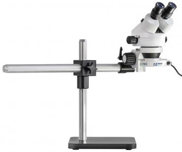 The image shows a microscope on a stable base. It has two eyepieces for simultaneous viewing and several adjustable parts for focusing.