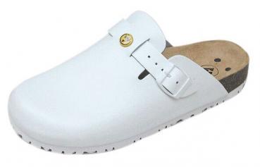 The image shows a white clog shoe. It has a flat sole, a closed front area, and a wide strap with a gold-colored buckle on the top. The insole is dark.