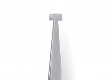 The image shows a long, metallic object with a pointed shape and a flat, square end. The surface is shiny and smooth.