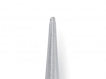 The image shows a silver, pointed object. The shape is elongated and tapers upwards to a sharp point, which appears shiny and smooth.