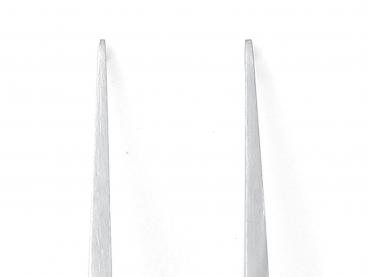 The image shows two long, thin, pointed objects standing parallel to each other. They are bright and slender, with a smooth surface and narrow tips.
