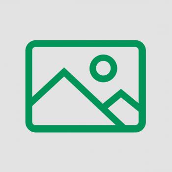 Das Bild zeigt ein einfaches, grünes Symbol einer Landschaft. Es gibt Berge im Hintergrund und eine Sonne oben rechts. Das Design ist minimalistisch und klar.