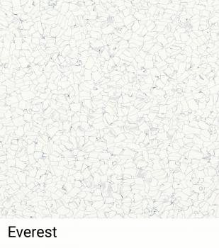 Das Bild zeigt eine helle, strukturierte Fläche mit vielen kleinen, unregelmäßigen Formen und Linien, die scheinbar zufällig angeordnet sind. Unten steht der Schriftzug "Everest".