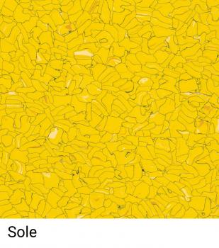 Das Bild zeigt eine gelbe Fläche mit vielen unregelmäßigen, kleinen Formen und Linien. Die verschiedenen Schattierungen von Gelb verleihen der Oberfläche eine lebendige Textur. Darunter steht das Wort ?Sole?.