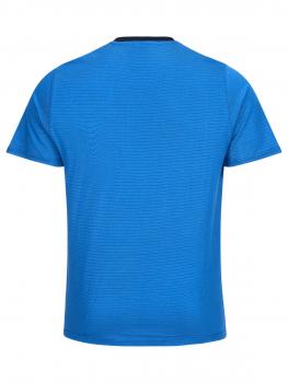 The picture shows a short, blue T-shirt with a subtle stripe pattern. It has short sleeves and a round neckline. The back of the shirt is visible.