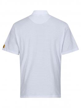 The image shows a light blue polo shirt with fine horizontal stripes. It has a typical collar and short sleeves. There is a small logo on the left sleeve side.