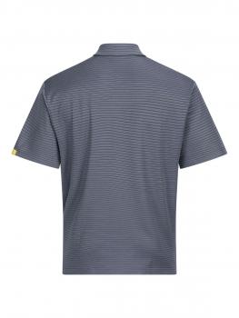 Das Bild zeigt ein kurzes Poloshirt mit einem grauen, gestreiften Muster. Es hat einen klassischen Kragen und kurze Ärmel. Die Farben sind hauptsächlich in verschiedenen Grautönen gehalten.
