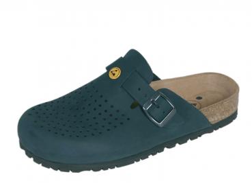 A dark green clog with a perforated surface. It has an adjustable metal strap and a light, slightly padded insole. The sole is slip-resistant and sturdy.