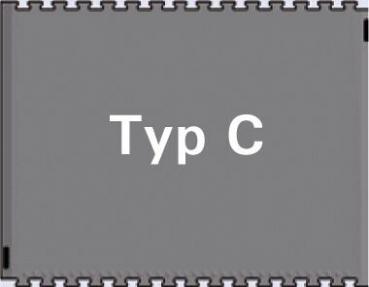 Das Bild zeigt eine graue rechteckige Fläche mit dem Text "Typ C" in großer, weißer Schrift in der Mitte. Die Kanten sind leicht strukturiert.