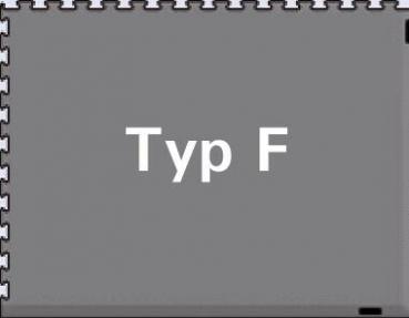 Das Bild zeigt ein grau hinterlegtes Rechteck mit der weißen Schrift "Typ F" in der Mitte. Der Rand ist schlicht und hat eine gezackte Linie.