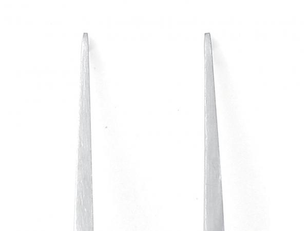 The image shows two long, thin, pointed objects standing parallel to each other. They are bright and slender, with a smooth surface and narrow tips.