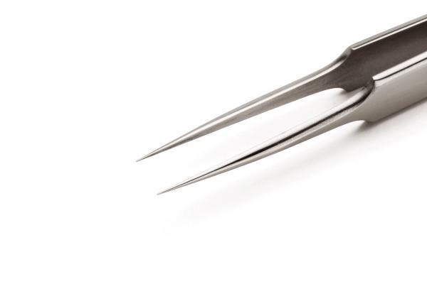 The image shows a narrow, two-pronged metal fork. The tips are pointed and sharp, while the handle at the upper end is wider and flatter. It appears precise and elegant.