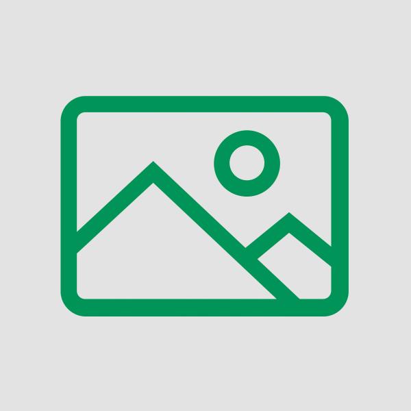 Das Bild zeigt ein einfaches, grünes Symbol einer Landschaft. Es gibt Berge im Hintergrund und eine Sonne oben rechts. Das Design ist minimalistisch und klar.