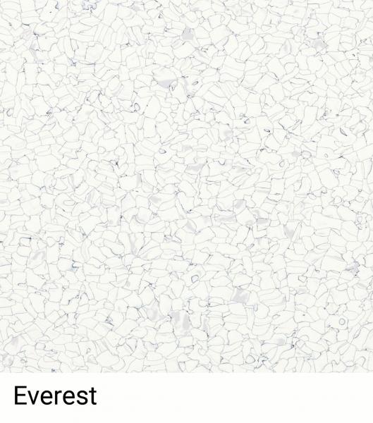 Das Bild zeigt eine helle, strukturierte Fläche mit vielen kleinen, unregelmäßigen Formen und Linien, die scheinbar zufällig angeordnet sind. Unten steht der Schriftzug "Everest".