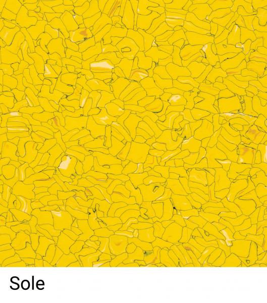 Das Bild zeigt eine gelbe Fläche mit vielen unregelmäßigen, kleinen Formen und Linien. Die verschiedenen Schattierungen von Gelb verleihen der Oberfläche eine lebendige Textur. Darunter steht das Wort ?Sole?.