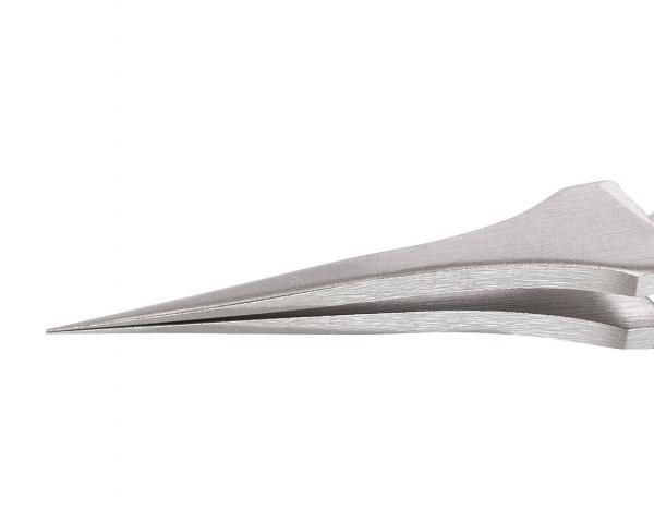 Das Bild zeigt eine spitz zulaufende, elegante Form, die aus mehreren geschwungenen, glänzenden Schichten besteht. Sie wirkt modern und minimalistisch, fast wie eine stilisierte Skulptur.
