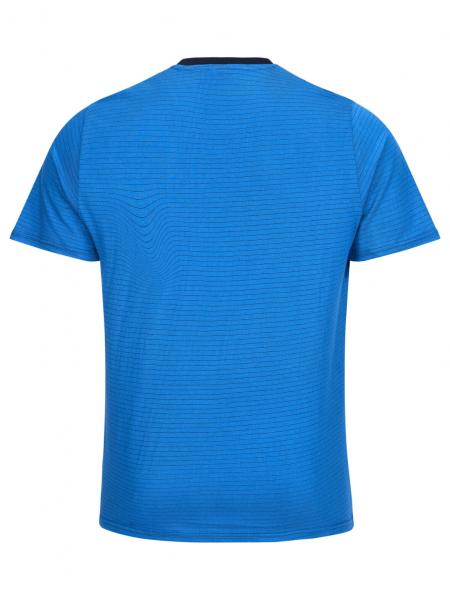 The picture shows a short, blue T-shirt with a subtle stripe pattern. It has short sleeves and a round neckline. The back of the shirt is visible.