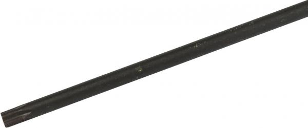The image shows a long, thin, black wire or rod. It is straight, with a slightly rounded tip, and has a small, bright spot at one point.