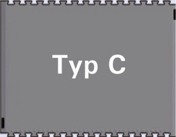 Das Bild zeigt eine graue rechteckige Fläche mit dem Text "Typ C" in großer, weißer Schrift in der Mitte. Die Kanten sind leicht strukturiert.