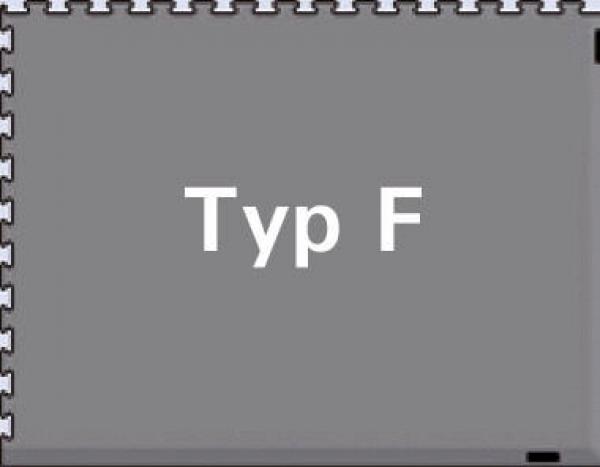 The image displays a gray-background rectangle with the white text "Type F" in the center. The border is simple and features a jagged line.