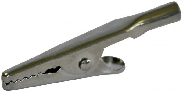 The image shows a silver metal clothespin. It has a curved shape with two gripping lips that can open and close, and a small spring in the middle.