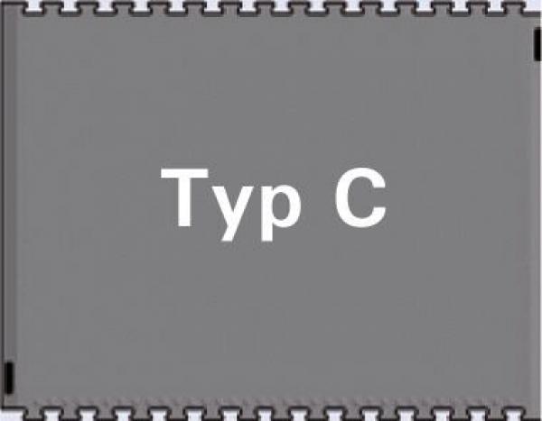 Das Bild zeigt eine graue rechteckige Fläche mit dem Text "Typ C" in großer, weißer Schrift in der Mitte. Die Kanten sind leicht strukturiert.