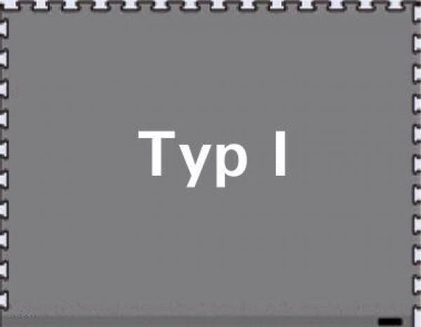The image shows a gray, rectangular background with a continuous, jagged line at the edge. In the center is the text "Type I" in large, white font.
