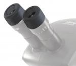 Preview: The image shows the eyepieces of a microscope. They are silver with black, rubberized edges. A scale indicates the magnification. The rest of the microscope is blurry in the background.