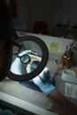 Preview: A person wearing blue gloves is holding an object under a magnifying glass. The workspace contains various tools and utensils. In the background, there are blurry pieces of furniture and some colored sticky notes.