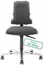 Preview: The image shows a swivel office chair with a gray upholstered seat and a high backrest. It stands on a silver base with five casters. The maximum load capacity is 160 kg.