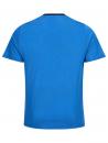 Preview: The picture shows a short, blue T-shirt with a subtle stripe pattern. It has short sleeves and a round neckline. The back of the shirt is visible.