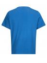 Preview: The image shows a simple, solid-colored t-shirt in a bold shade of blue. It has short sleeves and a round neckline. The back is plain without any print.