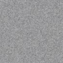 Preview: The image displays a uniform, structured surface in various shades of gray. The surface has a fine texture with irregular, small particles that create a lively yet subtle appearance.