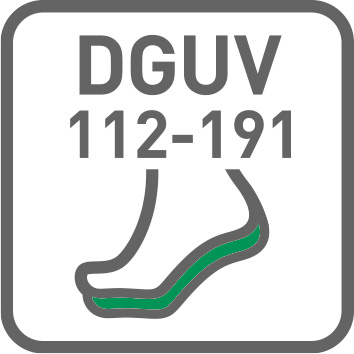 manufacturer according to the DGUV standard 121-191 DGUV Icon